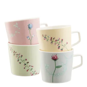 Aynsley Camille Pastle Set of 4 Mugs