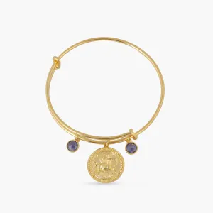 Blue Zircon Sagittarius Zodiac Coin Gold Plated Silver Bracelet