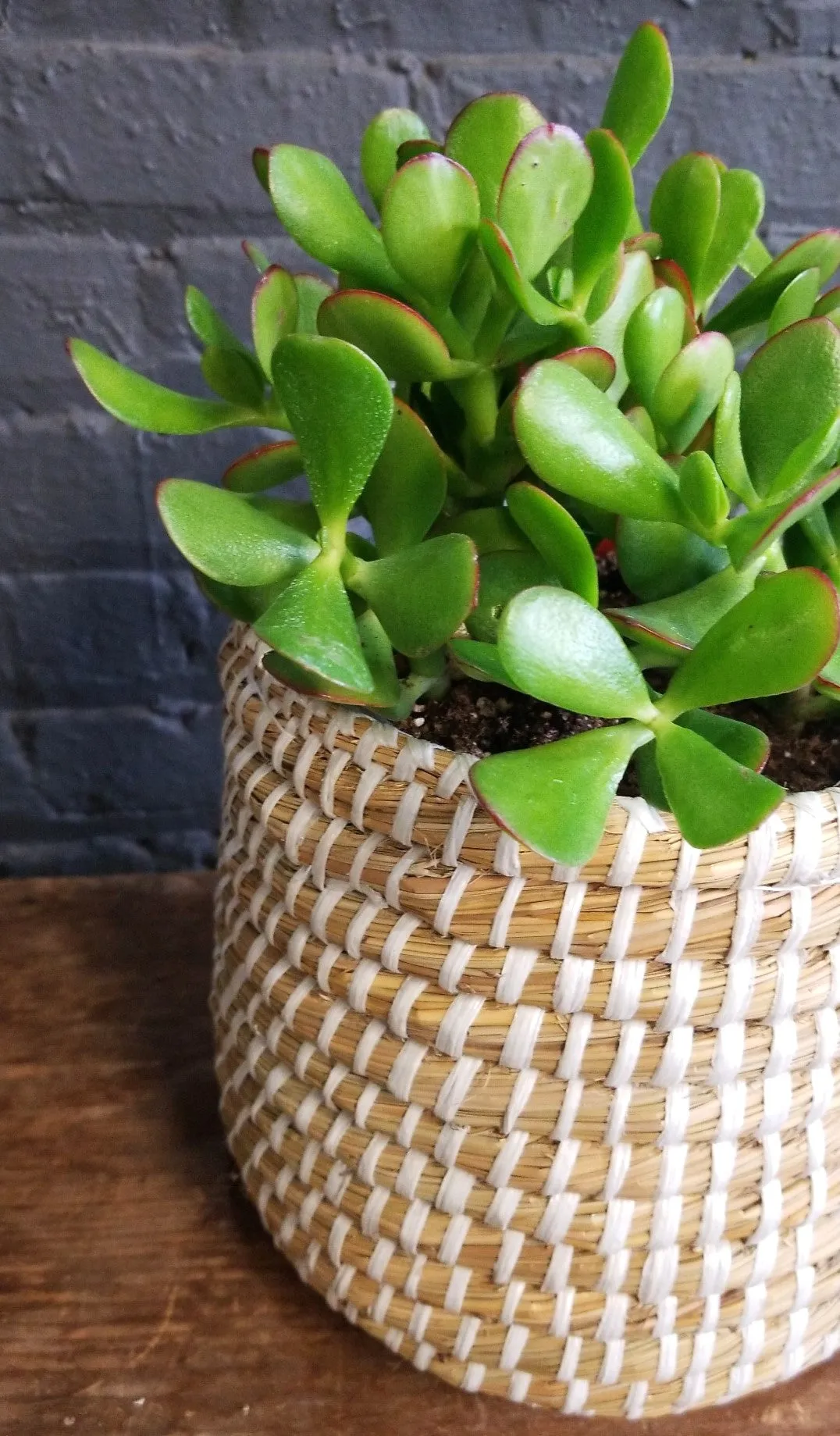 Jade in Accent Decor "Tejida" basket